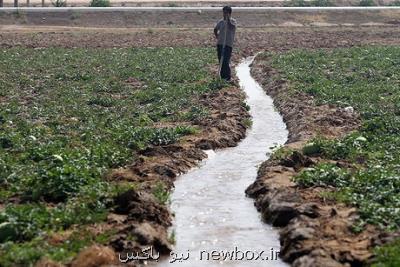 آخرین وضعیت تامین آب کشت پاییزه خوزستان