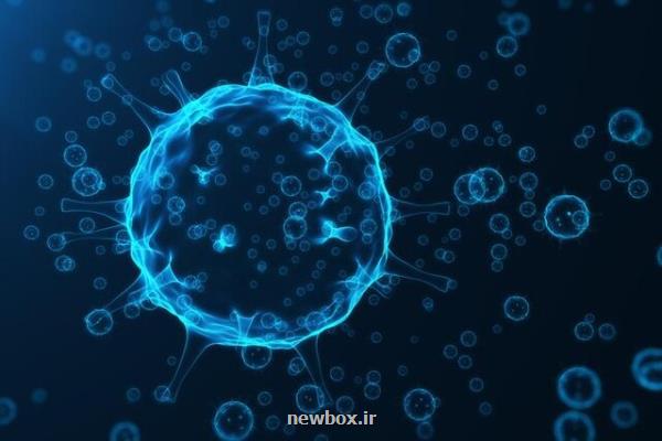 موفقیت پژوهشگران کشور در حذف سرطان زایی پروتئین های فرآوری شده