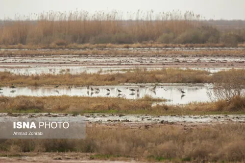 تأمین حق آبه برای تالاب یا گرد و غبار برای شهر؟