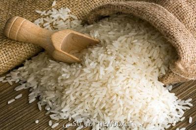 جزئیات نامه نگاری نوبخت با وزیر اقتصاد، واردات برنج همچنان ممنوع!