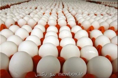 قیمت تخم مرغ تعیین تكلیف می شود