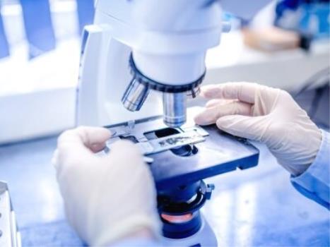 خدمات بلاعوض آزمایشگاهی به شركتهای دانش بنیان اعطا می شود