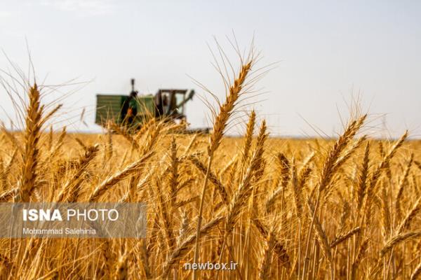 از فناوری روز دنیا در كشاورزی عقبیم