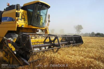 1 میلیون و 800 هزار تن گندم از كشاورزان خرید شد