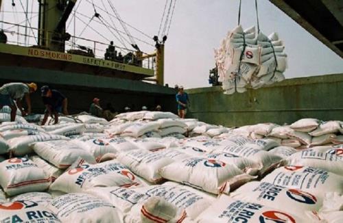 ترخیص ۱۳ هزار تن برنج دپو شده در گمرک از روز چهارشنبه