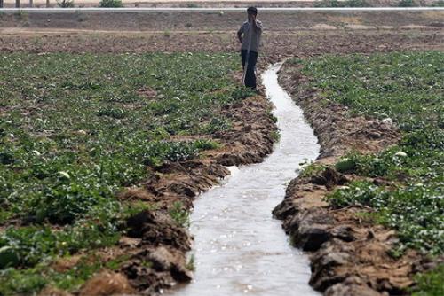 آخرین وضعیت تامین آب کشت پاییزه خوزستان
