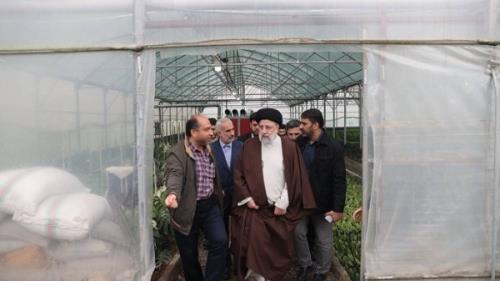 بهره برداری از 350 گلخانه روستایی با مشارکت مردم