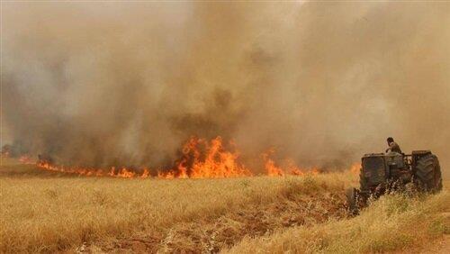آتشی که دودش به چشم همه می رود