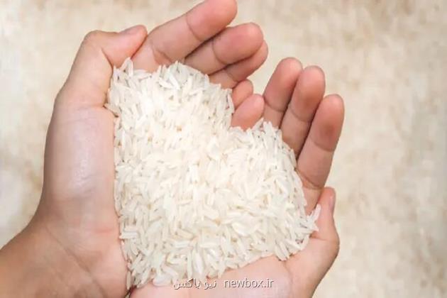 رد ادعای عرضه قطره چکانی برنج وارداتی
