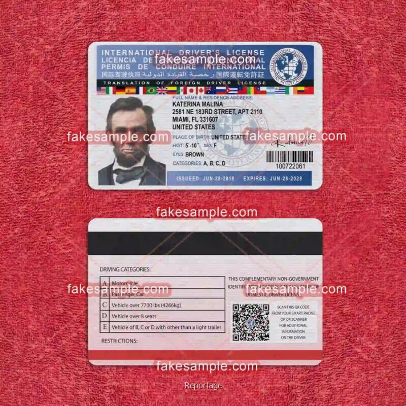 International Driver Licence Fake Template