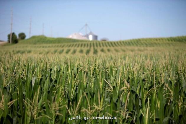 کاهش قیمت جهانی مواد غذایی