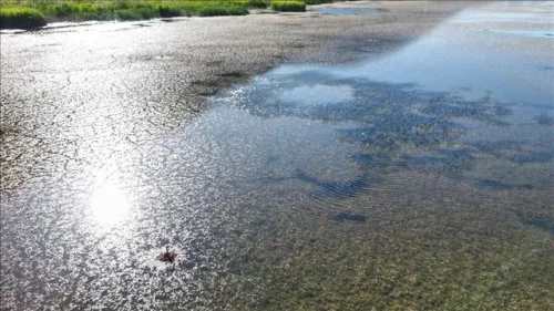 بحران کم آبی در اروپا انگلیس در آستانه خشکسالی بی سابقه