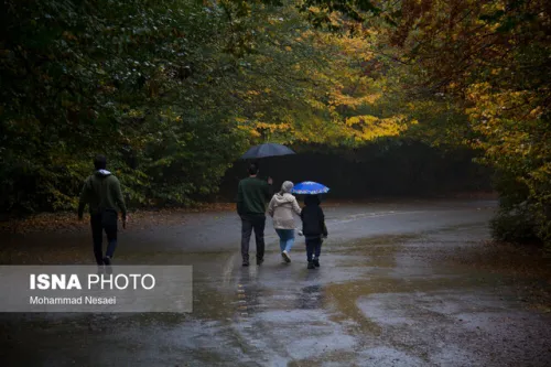 ورود سامانه بارشی به کشور طی فردا