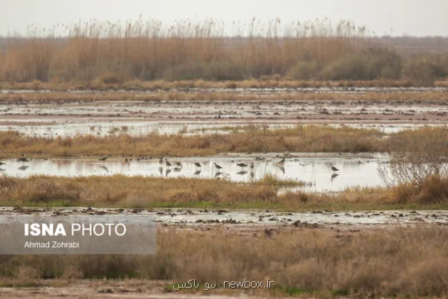 تأمین حق آبه برای تالاب یا گرد و غبار برای شهر؟