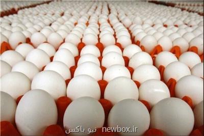 قیمت هر شانه تخم مرغ 20 هزارتومان تعیین شد