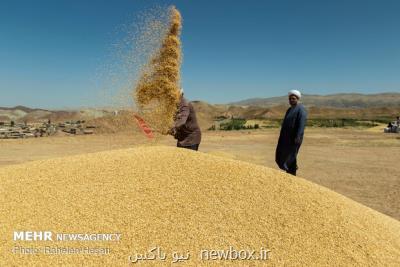 8 درصد مطالبات گندمكاران هنوز پرداخت نشده است