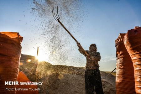 ۹۳ درصد مطالبات گندمكاران پرداخت گردید