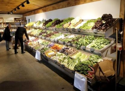 تداوم روند افزایش قیمت جهانی مواد غذایی
