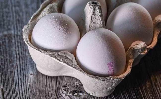 آغاز توزیع تخم مرغ با نرخ مصوب در كشور