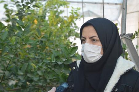 تاثیر كرونا بر مصرف و صادرات میوه های نیمه گرمسیری